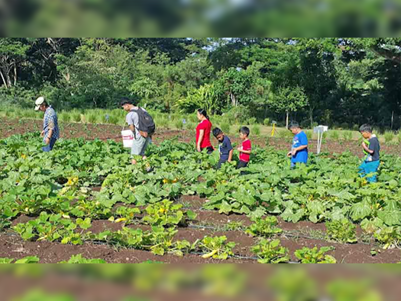 GMS students take tour of NMC-CREES agric center